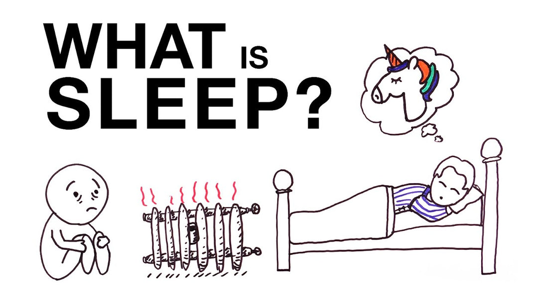 What is sleep?