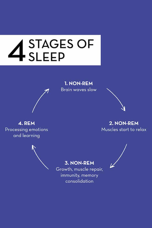 The Stages of Sleep: Understanding the Importance of Each Stage and How Much Sleep You Need