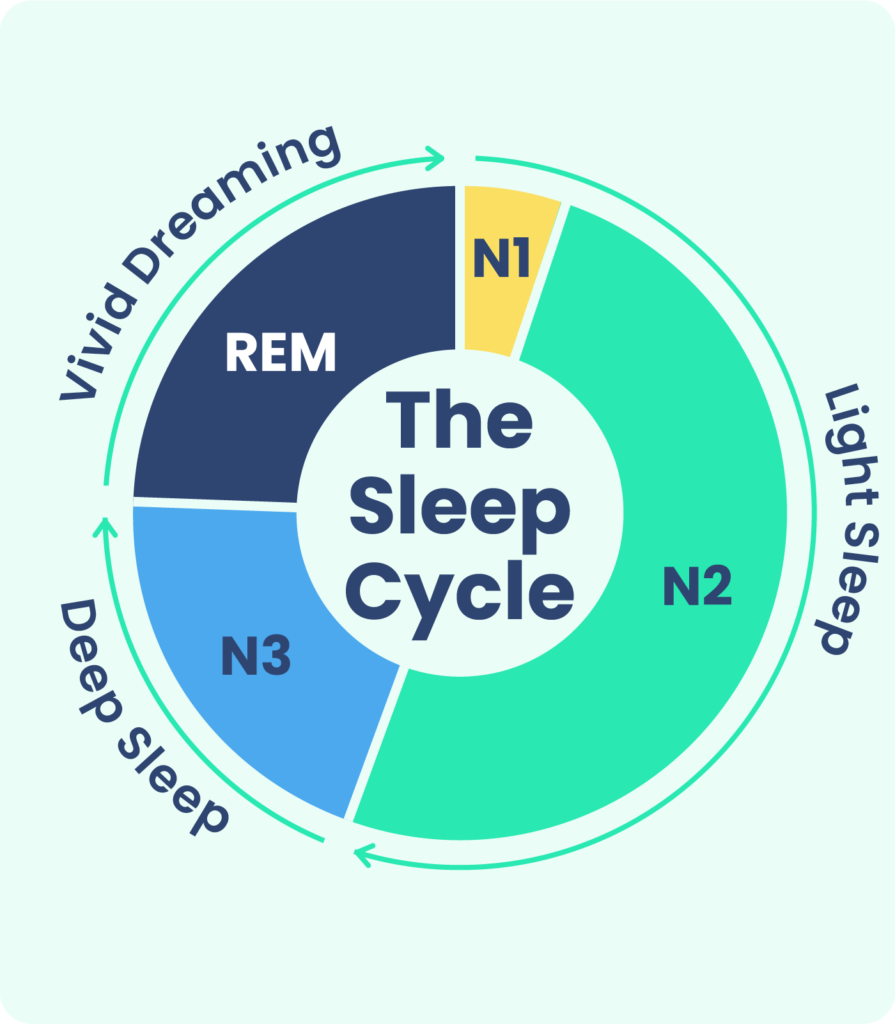 Understanding Sleep Cycles for Optimal Rest
