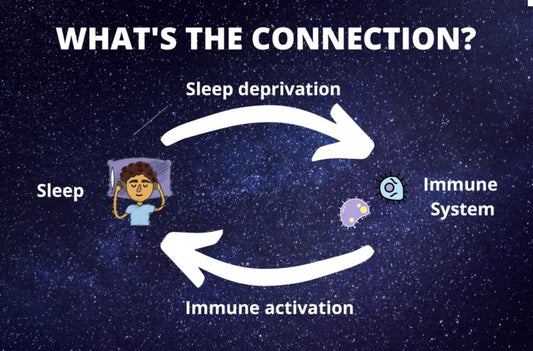Connection between immune system and sleep? - SLEEPALPHA™
