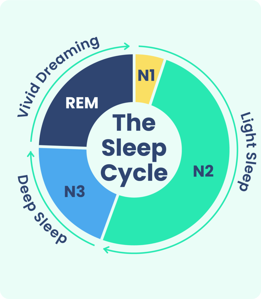 Demystifying Sleep Stages: A Journey Through the Realm of Rest - SLEEPALPHA™