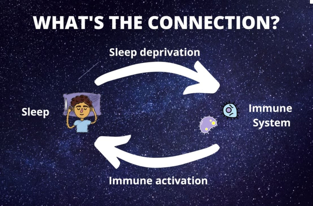 Does sleep affect your immune system? - SLEEPALPHA™
