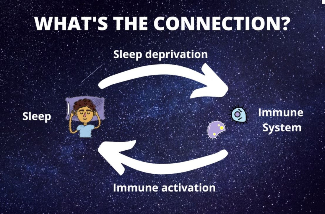 Connection between immune system and sleep?