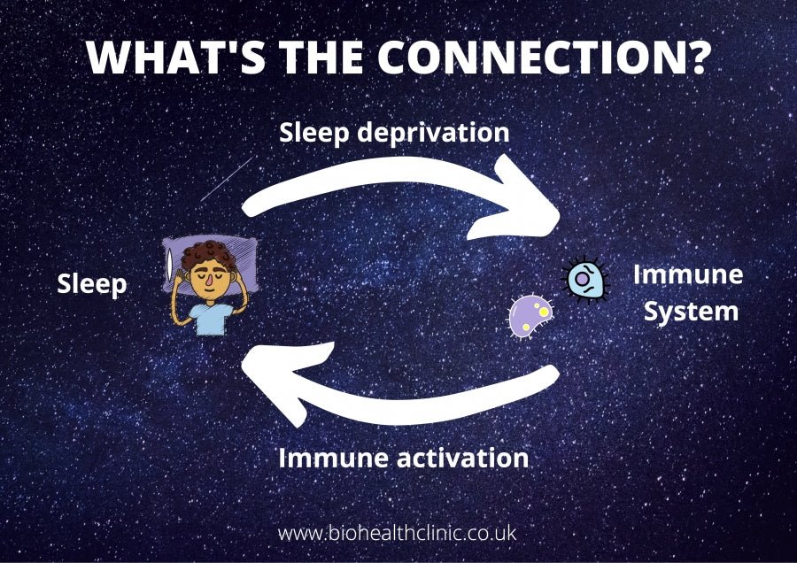 Why Quality Sleep is Essential for Immune System Health - SLEEPALPHA™