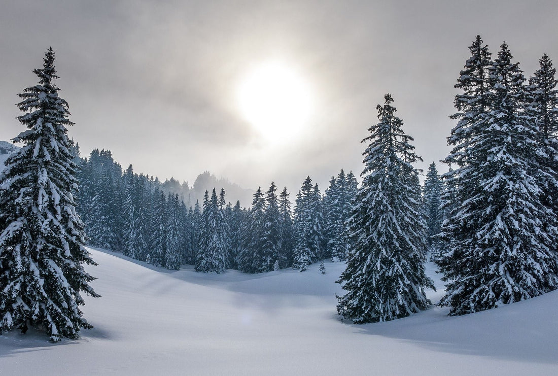Winter ruining your sleep? Learn why and how to stop it! - SLEEPALPHA™